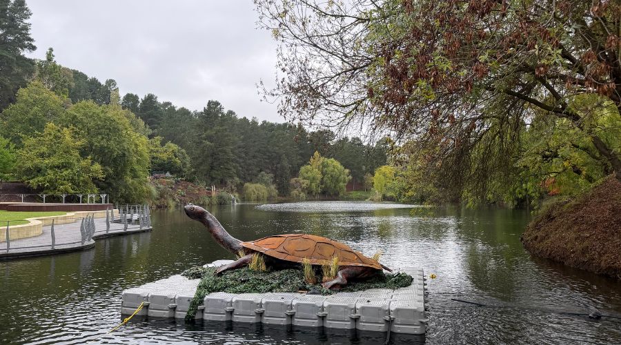 Floating turtle sculpture Melbourne Australia